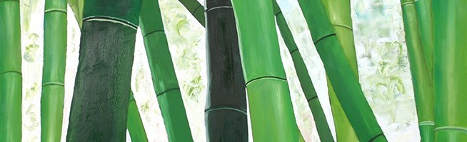 Bambus I